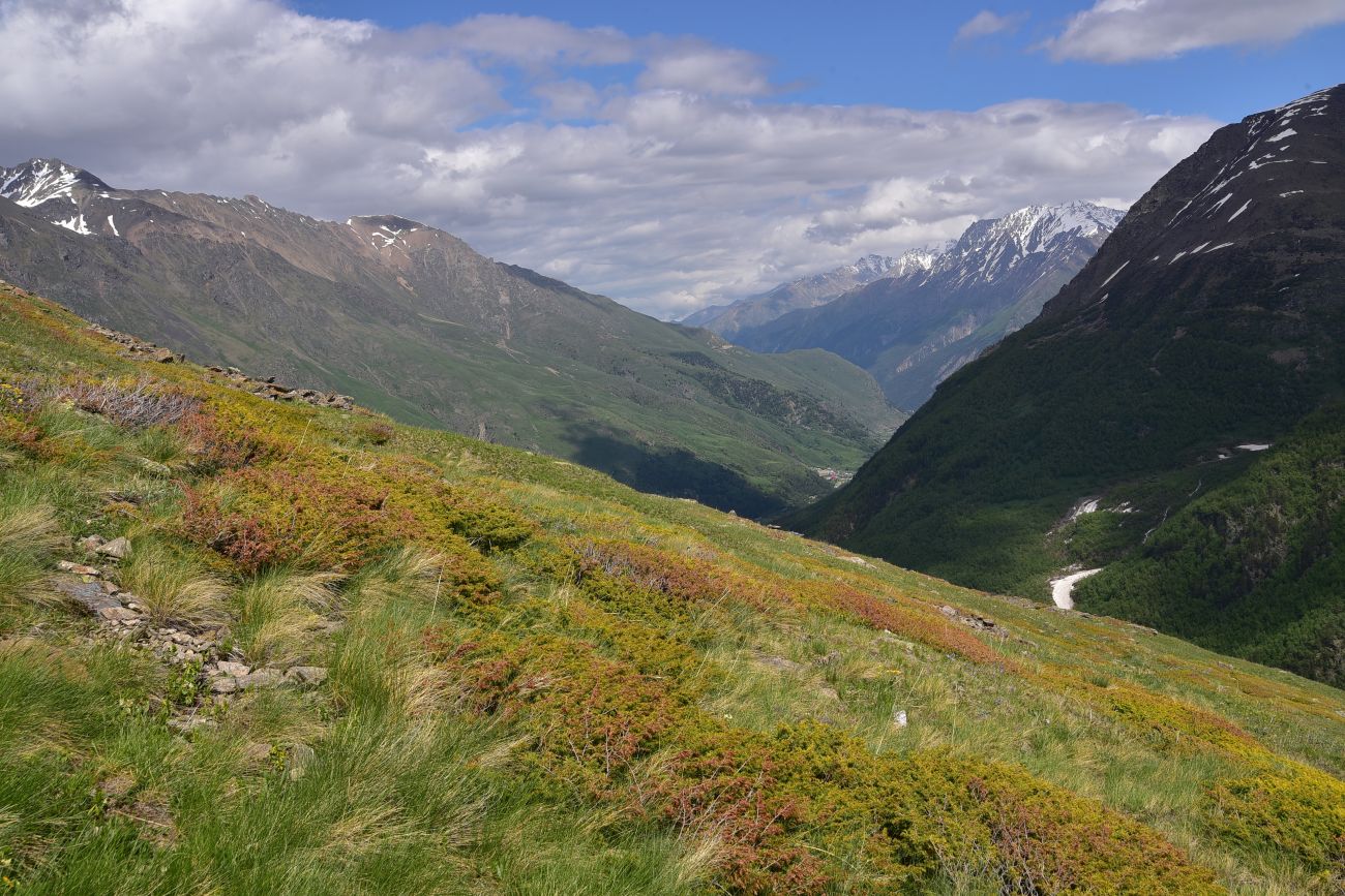 Восточный склон горы Чегет, image of landscape/habitat.
