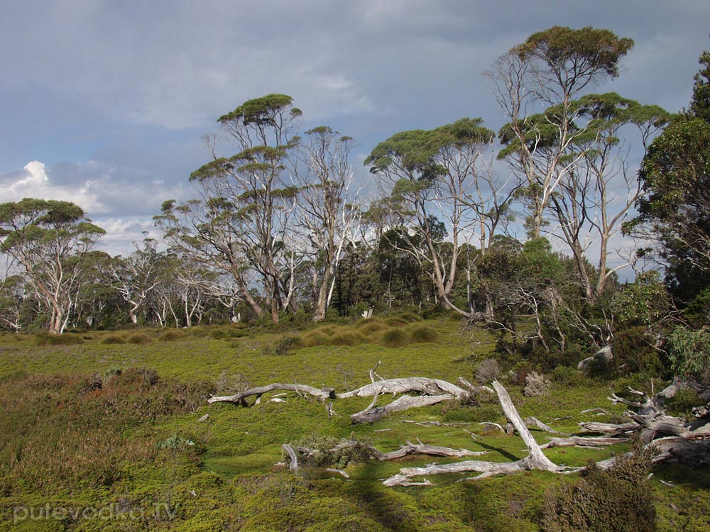 Крэдл Маунтин, image of landscape/habitat.