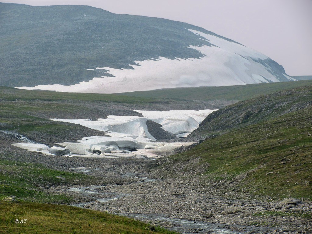 Верховья Большой Пайпудыны, image of landscape/habitat.