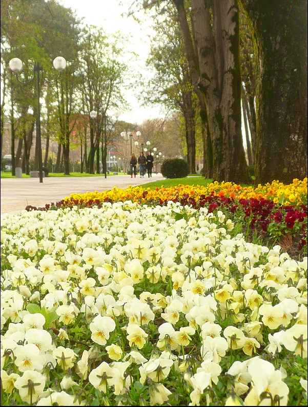 Новороссийск, image of landscape/habitat.