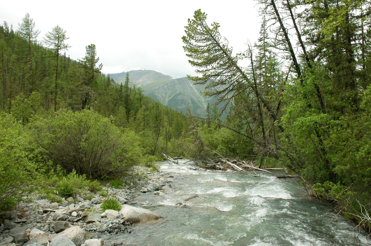 Ущелье реки Текелю, image of landscape/habitat.
