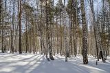 Окрестности села Рысакаево, image of landscape/habitat.