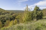 Щель Церковная, image of landscape/habitat.