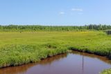 Заборная, image of landscape/habitat.