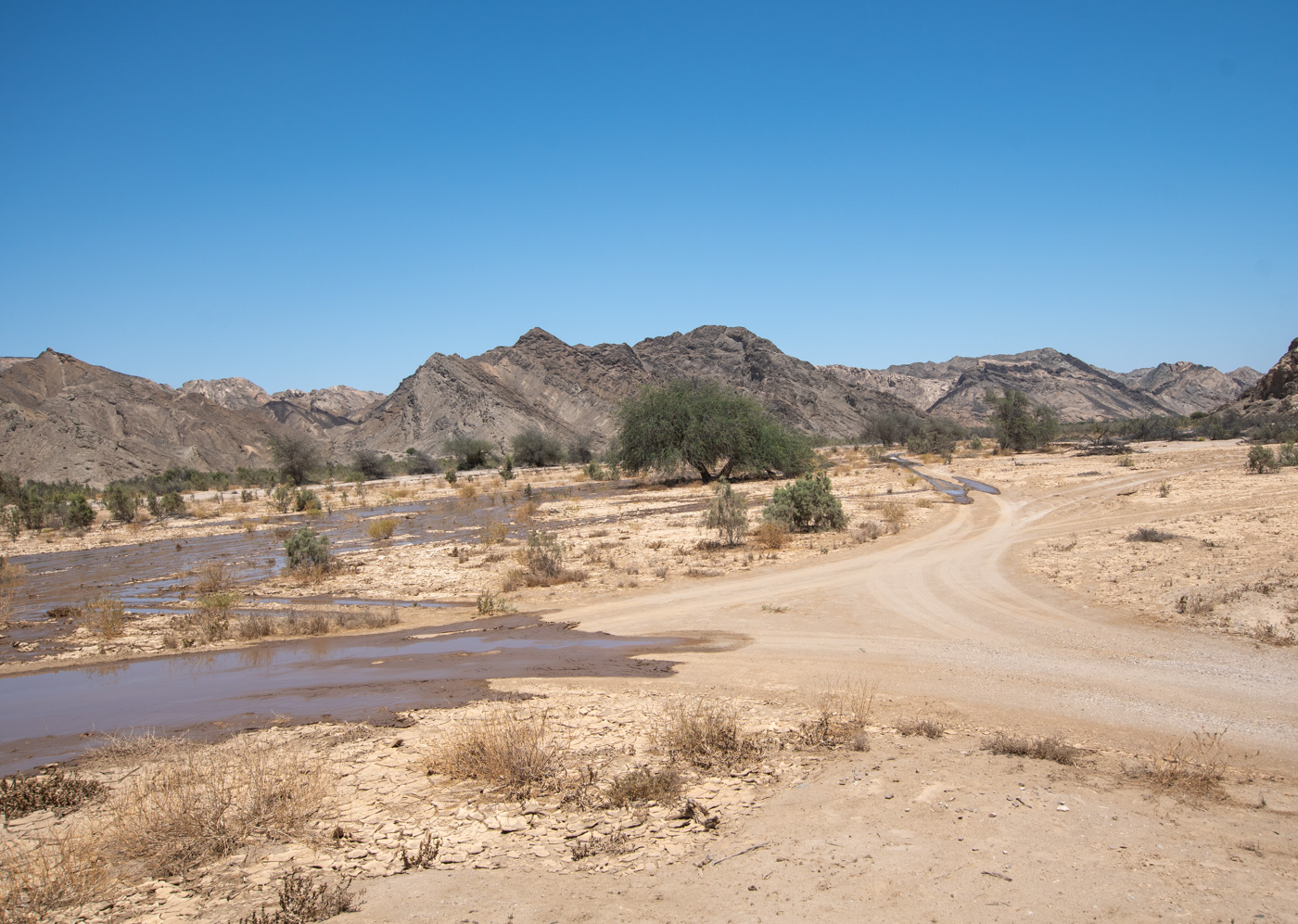 Намиб, image of landscape/habitat.