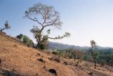 Image of landscape