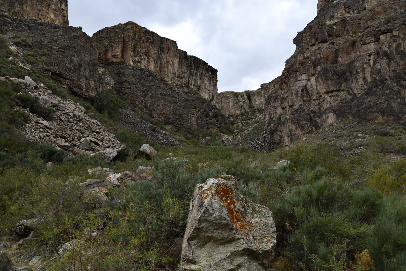 Тайгак, image of landscape/habitat.