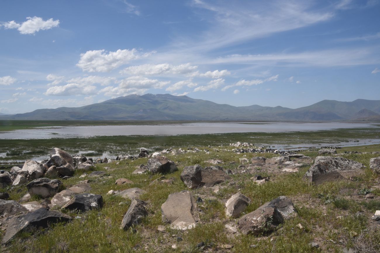 Озеро Шейхли, image of landscape/habitat.