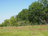 Долина реки Бирля и окрестности, image of landscape/habitat.