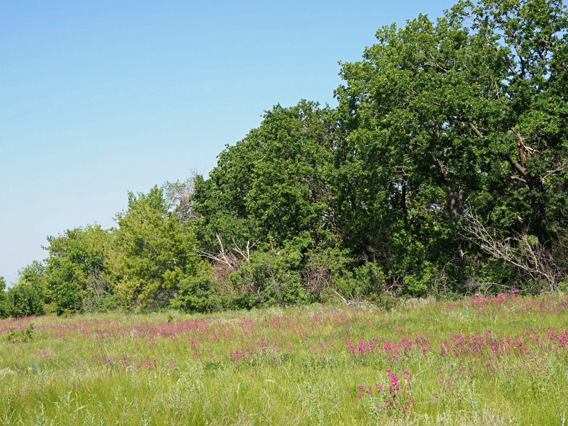 Долина реки Бирля и окрестности, image of landscape/habitat.