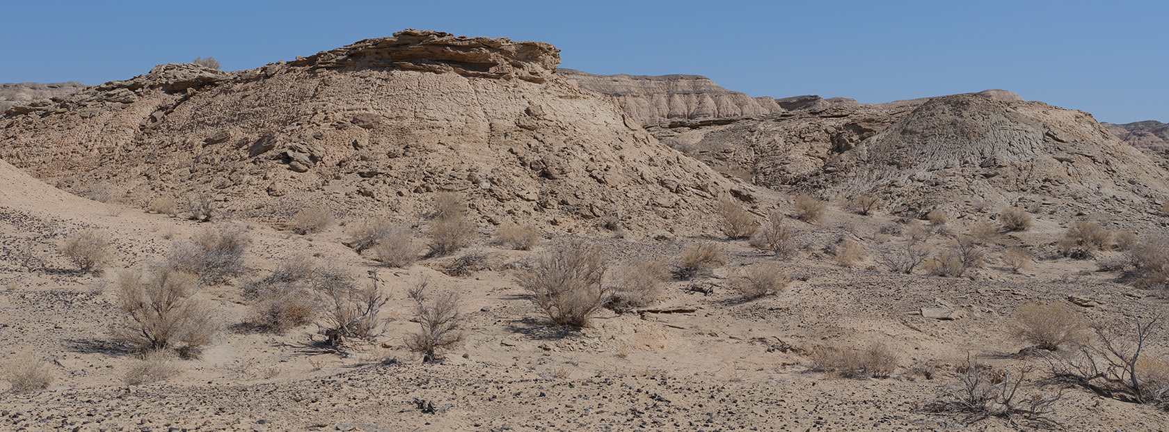 Сарымсакты, image of landscape/habitat.
