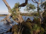 Крэдл Маунтин, image of landscape/habitat.