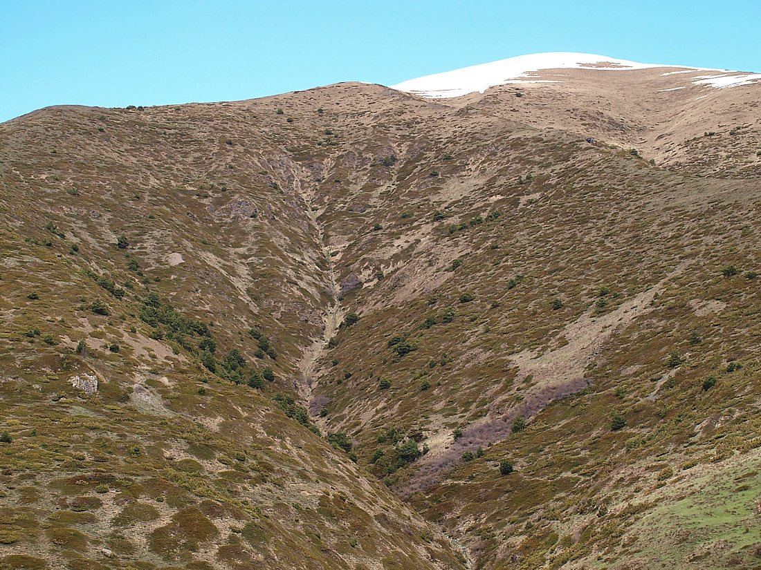Верховья Алагирского ущелья, image of landscape/habitat.