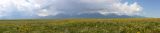 Image of landscape