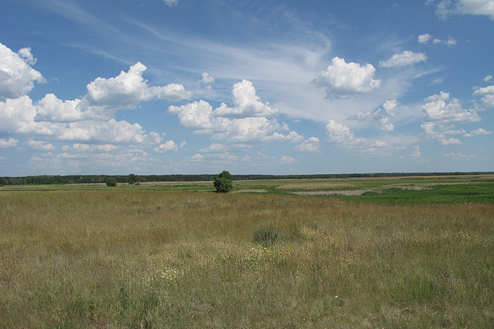 Некрылово, image of landscape/habitat.