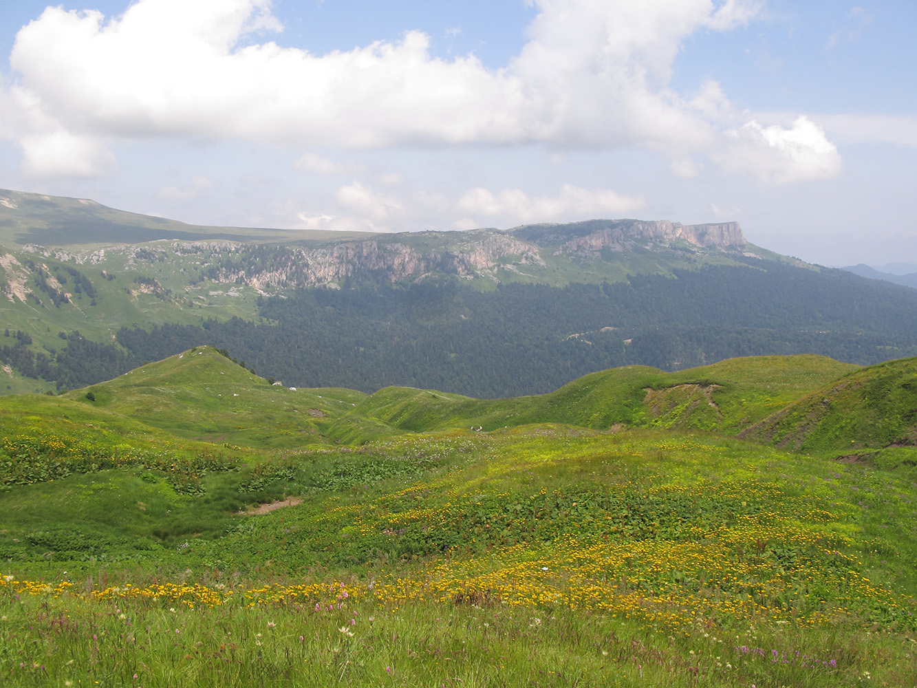 Гора Гузерипль, изображение ландшафта.