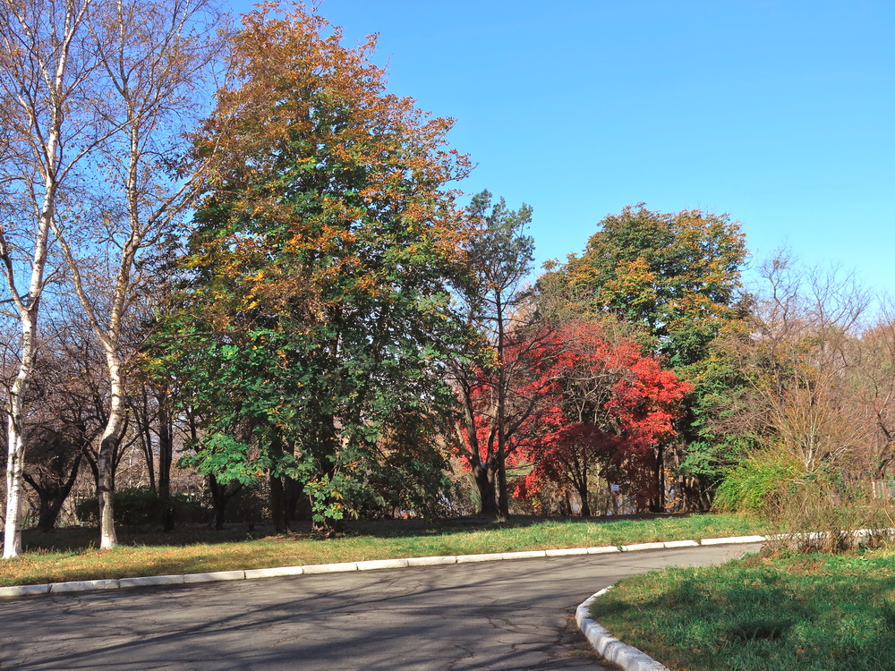 Академгородок, image of landscape/habitat.