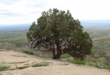 Image of landscape