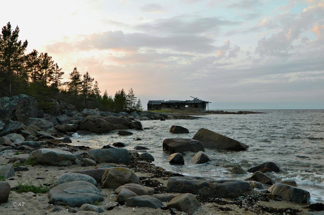 Унежма, image of landscape/habitat.