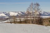 Окрестности села Рысакаево, image of landscape/habitat.