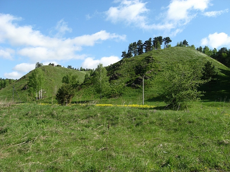 Окрестности Верхотомского, image of landscape/habitat.