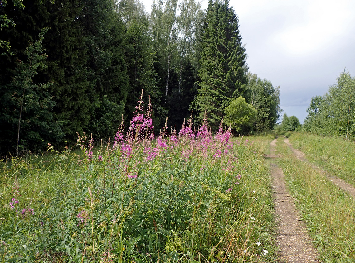 Шлюз №2 канала им. Москвы, image of landscape/habitat.