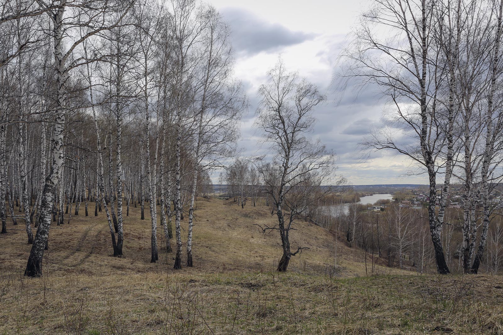 Спасская гора и её окрестности, изображение ландшафта.