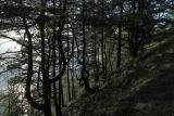 Image of landscape