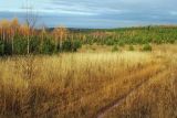 Image of landscape