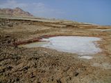 Эйн-Геди, image of landscape/habitat.