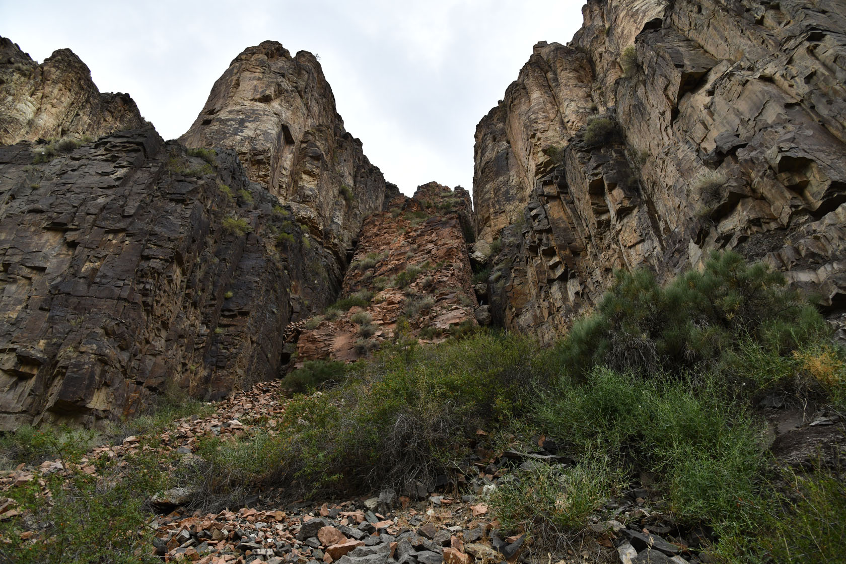 Тайгак, image of landscape/habitat.