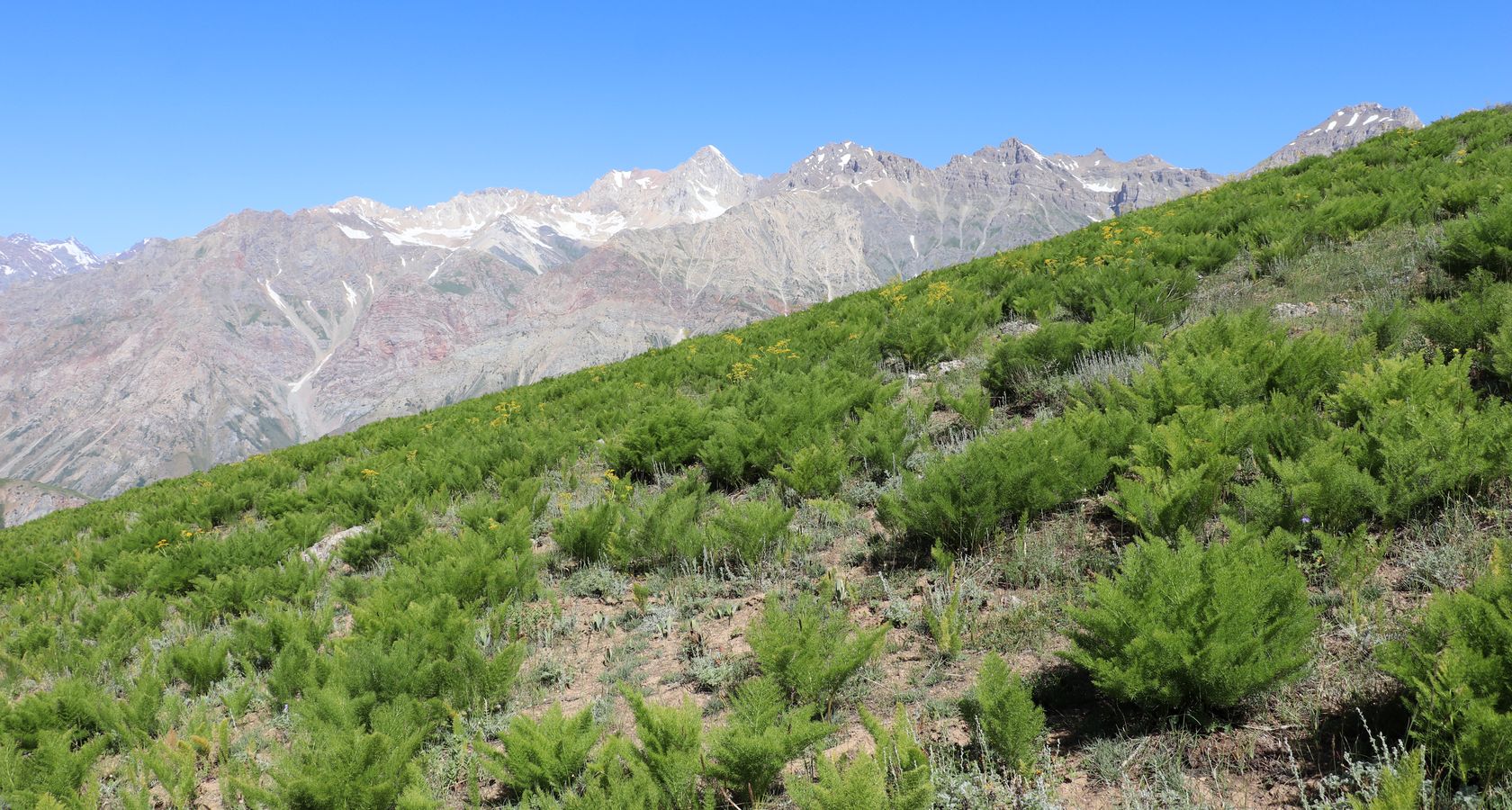 Баркраксай, изображение ландшафта.