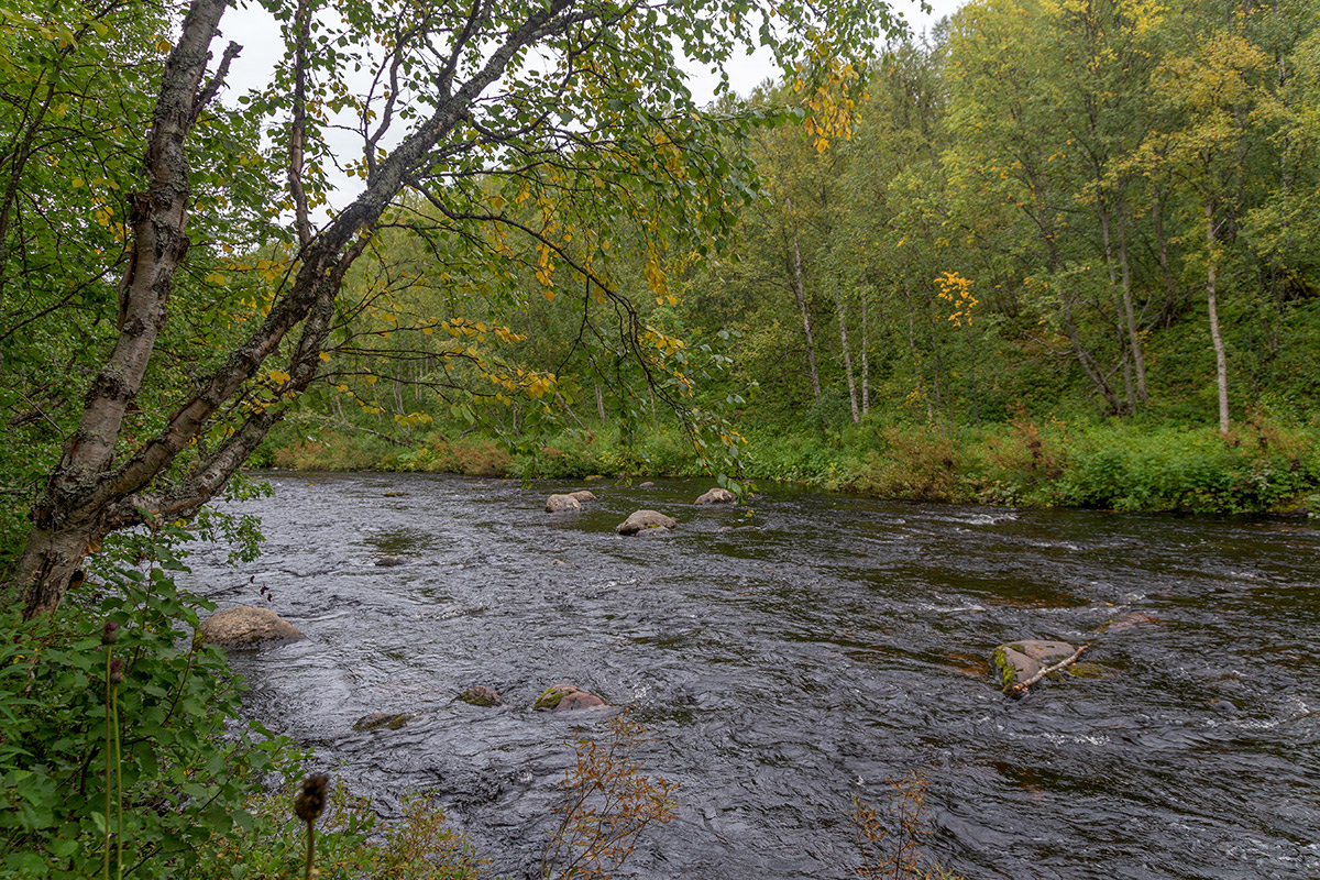 Лавна, image of landscape/habitat.