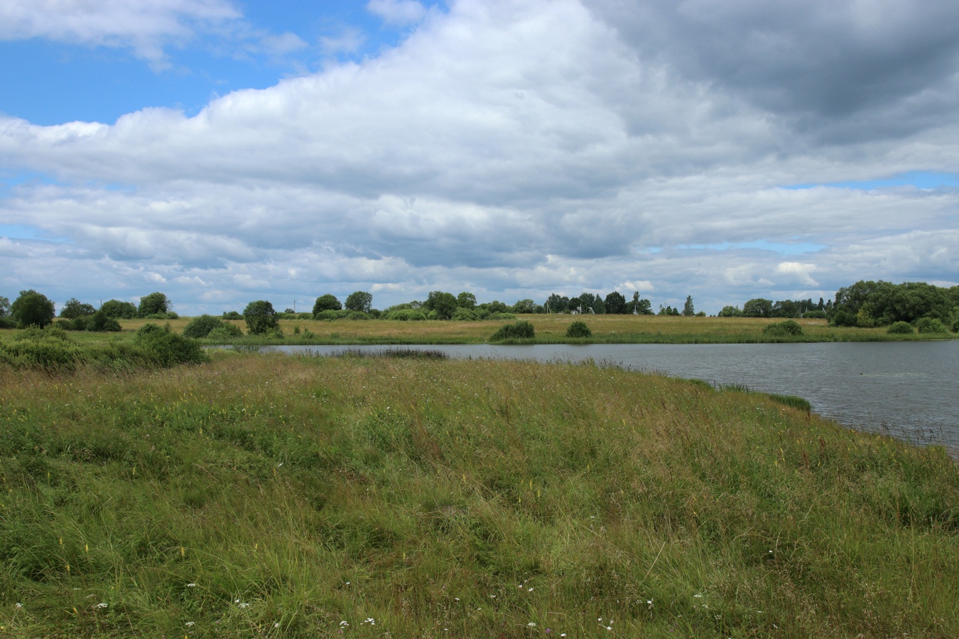 Местечко и окрестности, image of landscape/habitat.