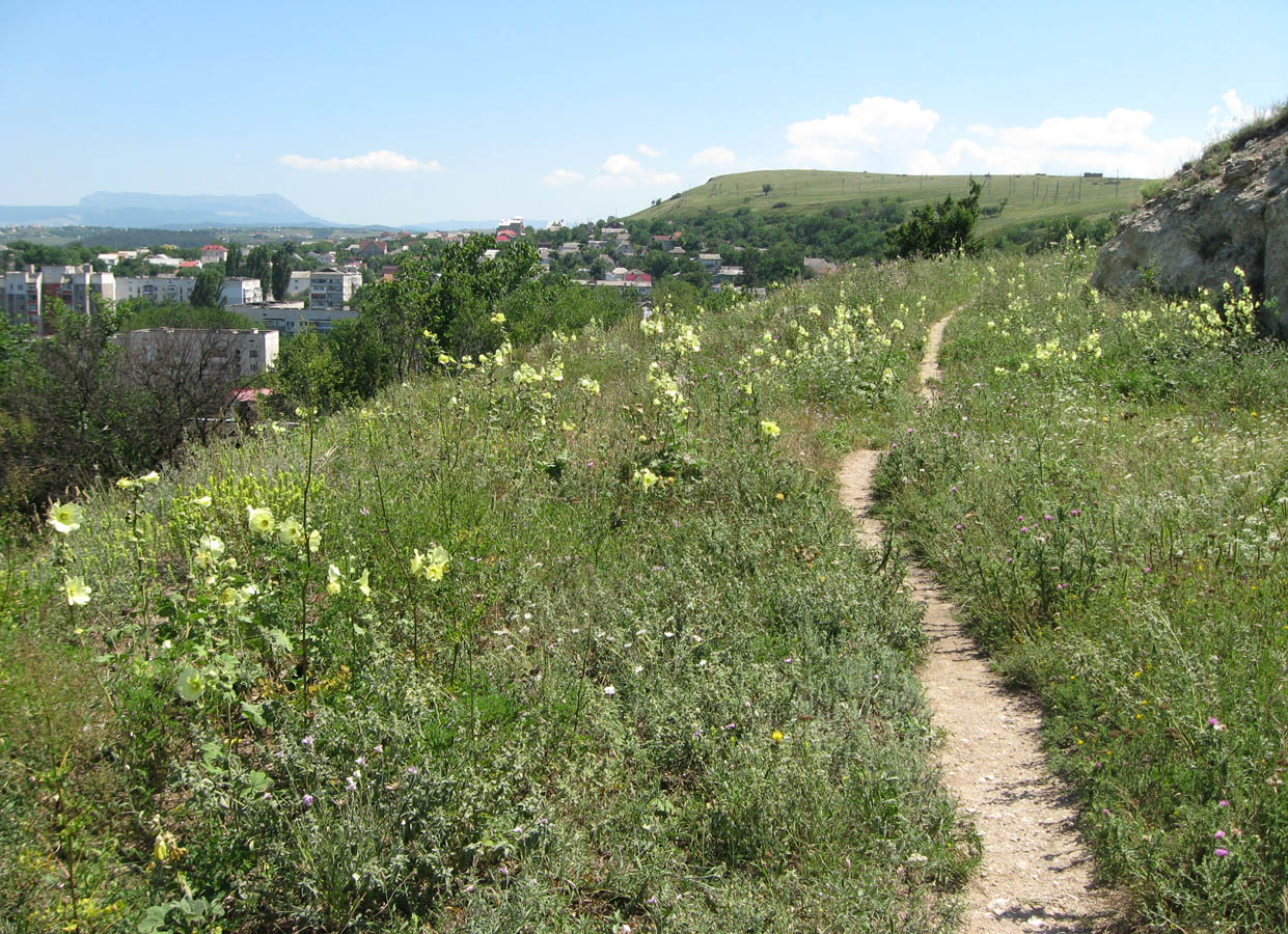 Марьино, image of landscape/habitat.