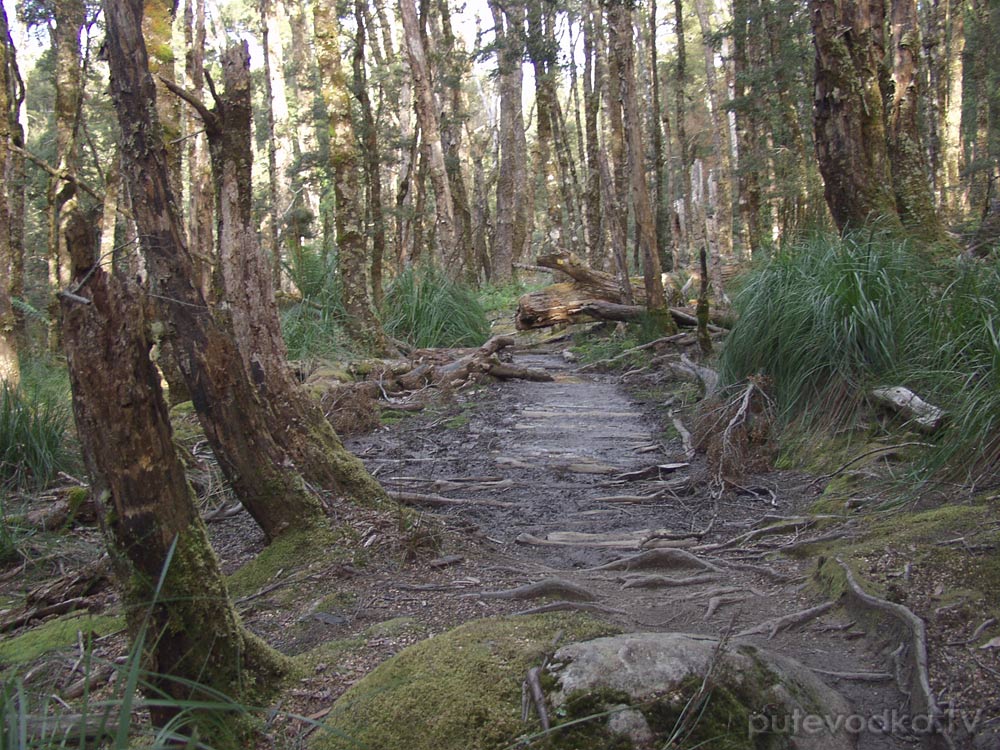 Крэдл Маунтин, image of landscape/habitat.