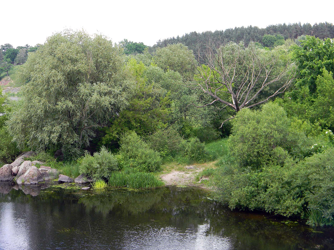 Новоград-Волынский, image of landscape/habitat.