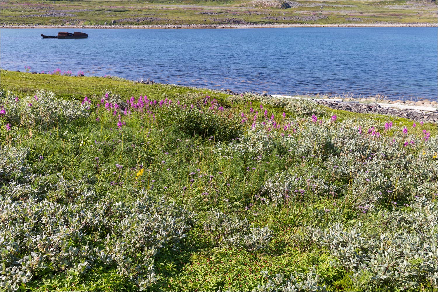 Дальние Зеленцы, image of landscape/habitat.