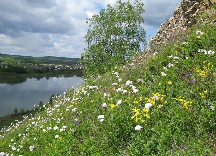 Окрестности Верхотомского, image of landscape/habitat.