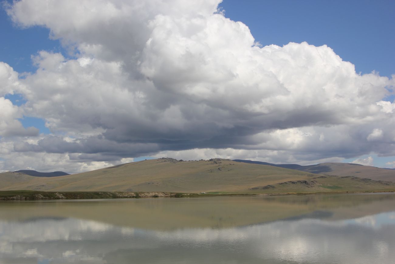 Окрестности Гусиного озера, image of landscape/habitat.