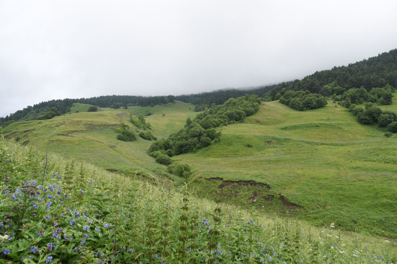 Урочище Лялах и окрестности, image of landscape/habitat.