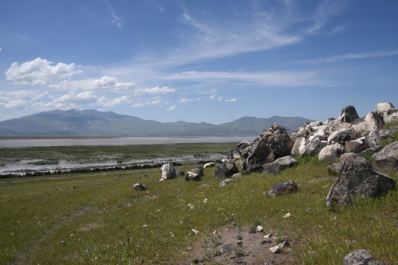 Озеро Шейхли, image of landscape/habitat.