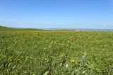 Скала Джегута, image of landscape/habitat.