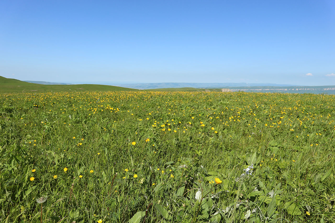 Скала Джегута, image of landscape/habitat.