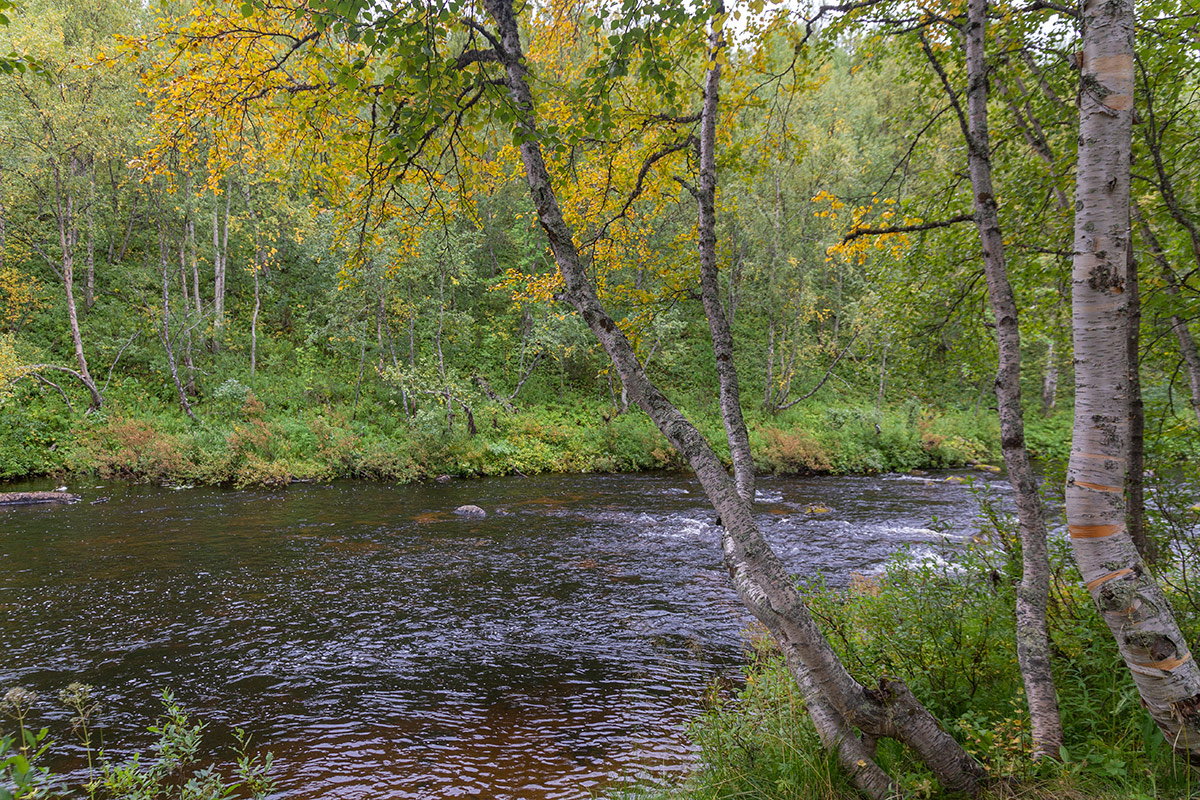 Лавна, image of landscape/habitat.