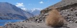 Image of landscape
