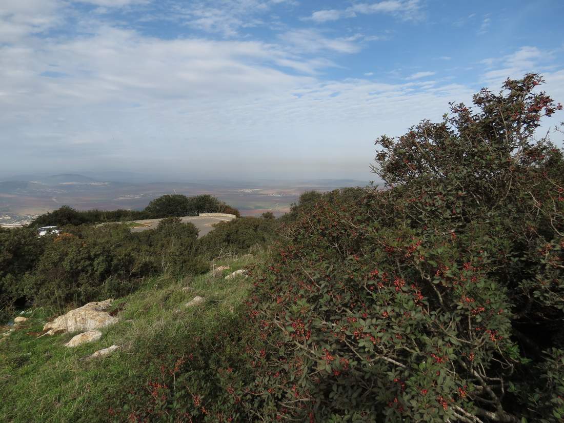 Горы Гильбоа, image of landscape/habitat.