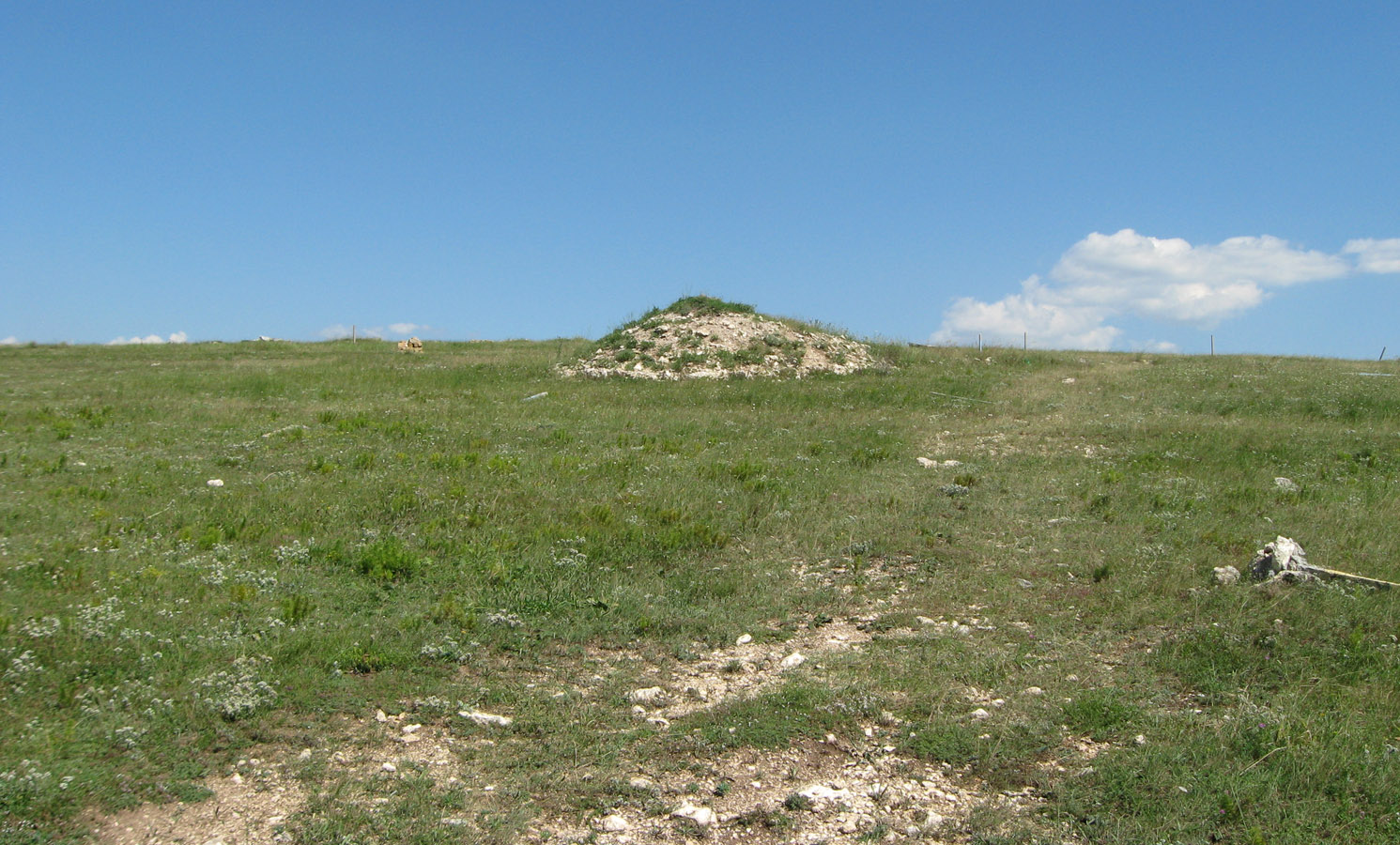 Марьино, image of landscape/habitat.