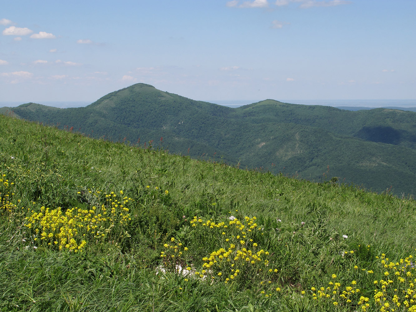 Свинцовая, image of landscape/habitat.