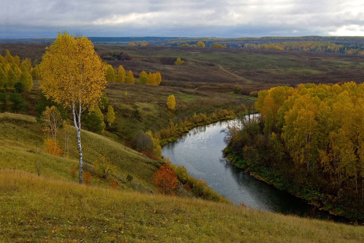 Окрестности деревни Комарово, image of landscape/habitat.